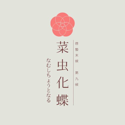 七十二候 09 なむしちょうとなる
